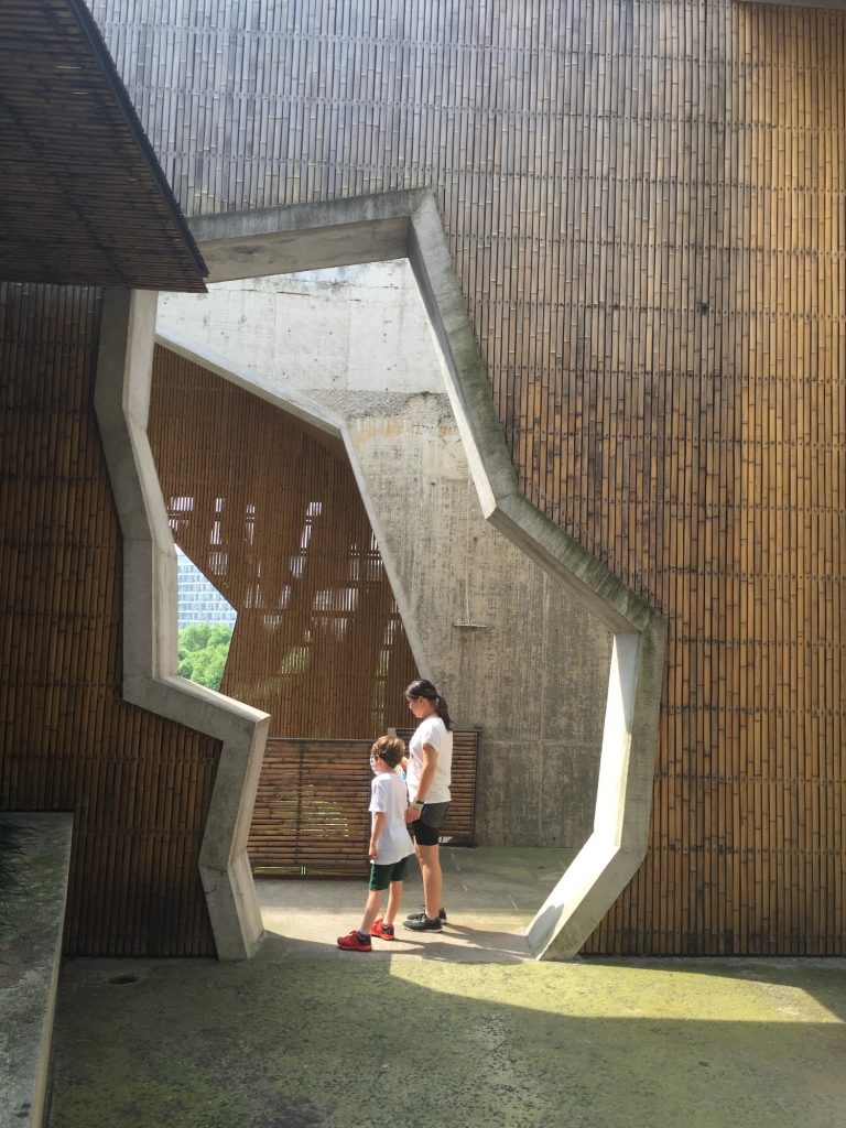 Campus architecture at China Academy of Art, Hangzhou 