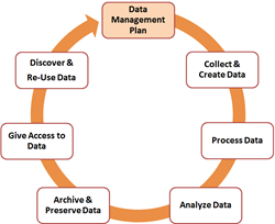 Data life cycle