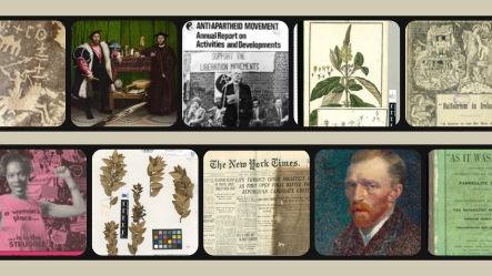 Two films strips appear horizontally with different images from the JSTOR collections inside the film strip. Images include drawings of plants, art, newspapers, and photos