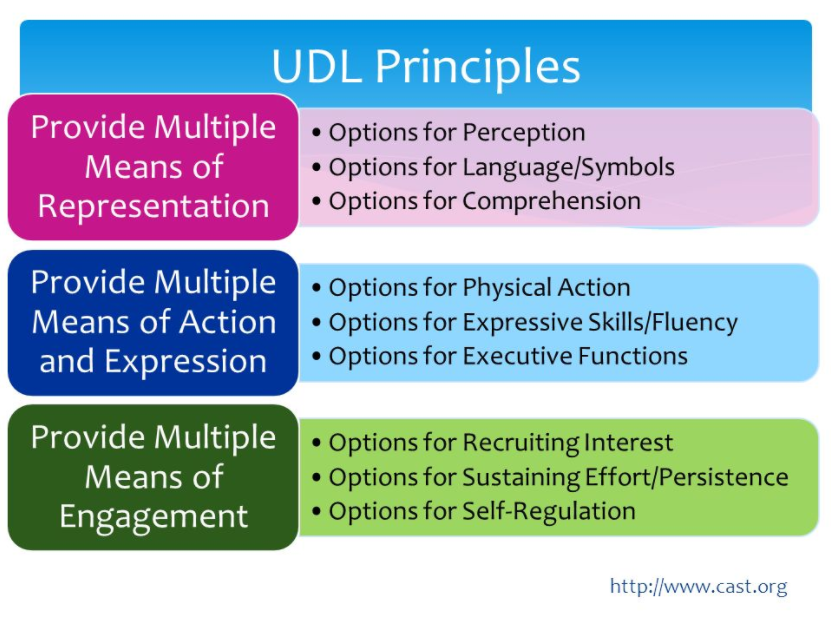 UDL Principles